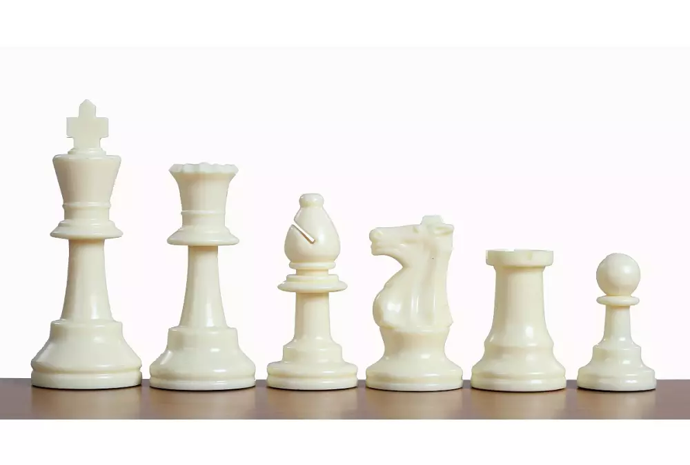 JUEGO ESCOLAR 2 (10 tableros de ajedrez de cartón plegables con piezas de ajedrez)