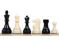 Figuras de ajedrez de plástico DGT para tableros electrónicos
