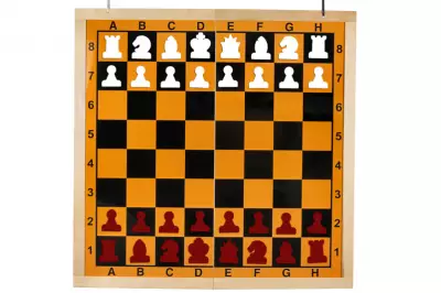 Figuras magnéticas para ajedrez de demostración, blanco/rojo (rey 75 mm)