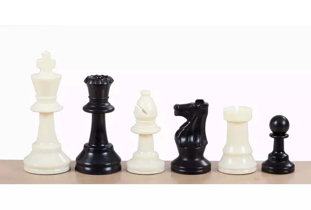 Juego de ajedrez JUNIOR PLUS (10 tableros plegables con piezas de ajedrez + 1 tablero de ajedrez de demostración)
