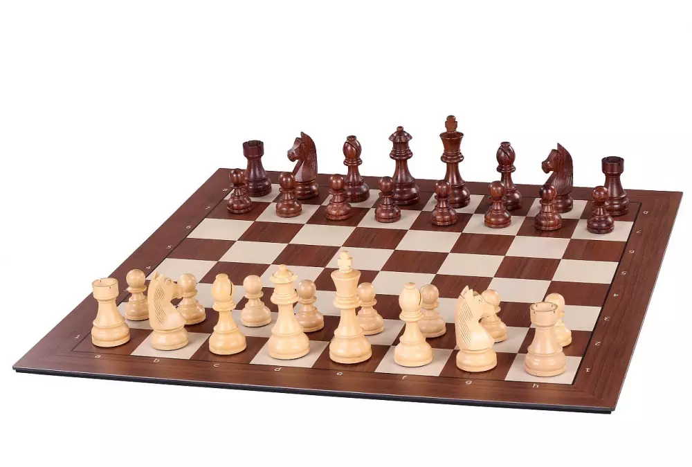 Tablero de ajedrez electrónico DGT SMART BOARD con descripción