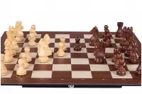 DGT SMART juego de ajedrez electrónico - tablero + piezas de ajedrez