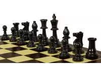 Gran juego de ajedrez de entrenamiento 48 cm (campo 50 mm, rey 96 mm)