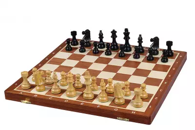 Torneo de ajedrez francés de Staunton no 5